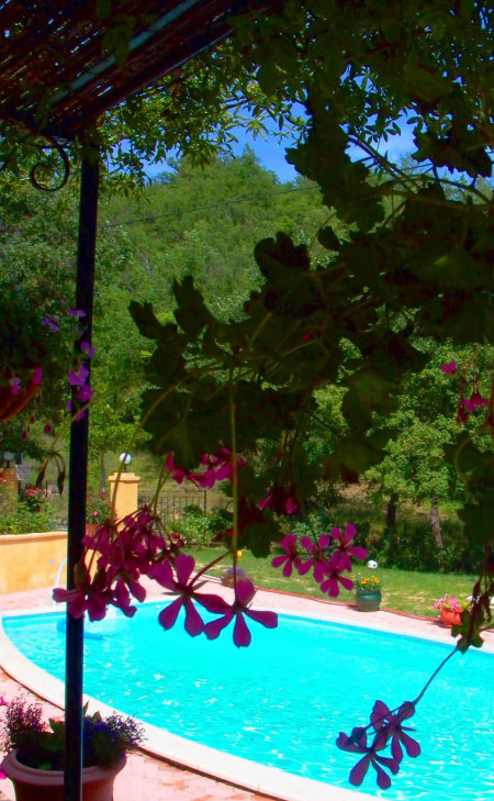 Vue sur la piscine